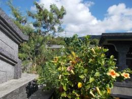 石垣市石垣東嵩原(売墓地)