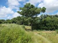 中心市街地より車で25分圏内の住宅付農地物件